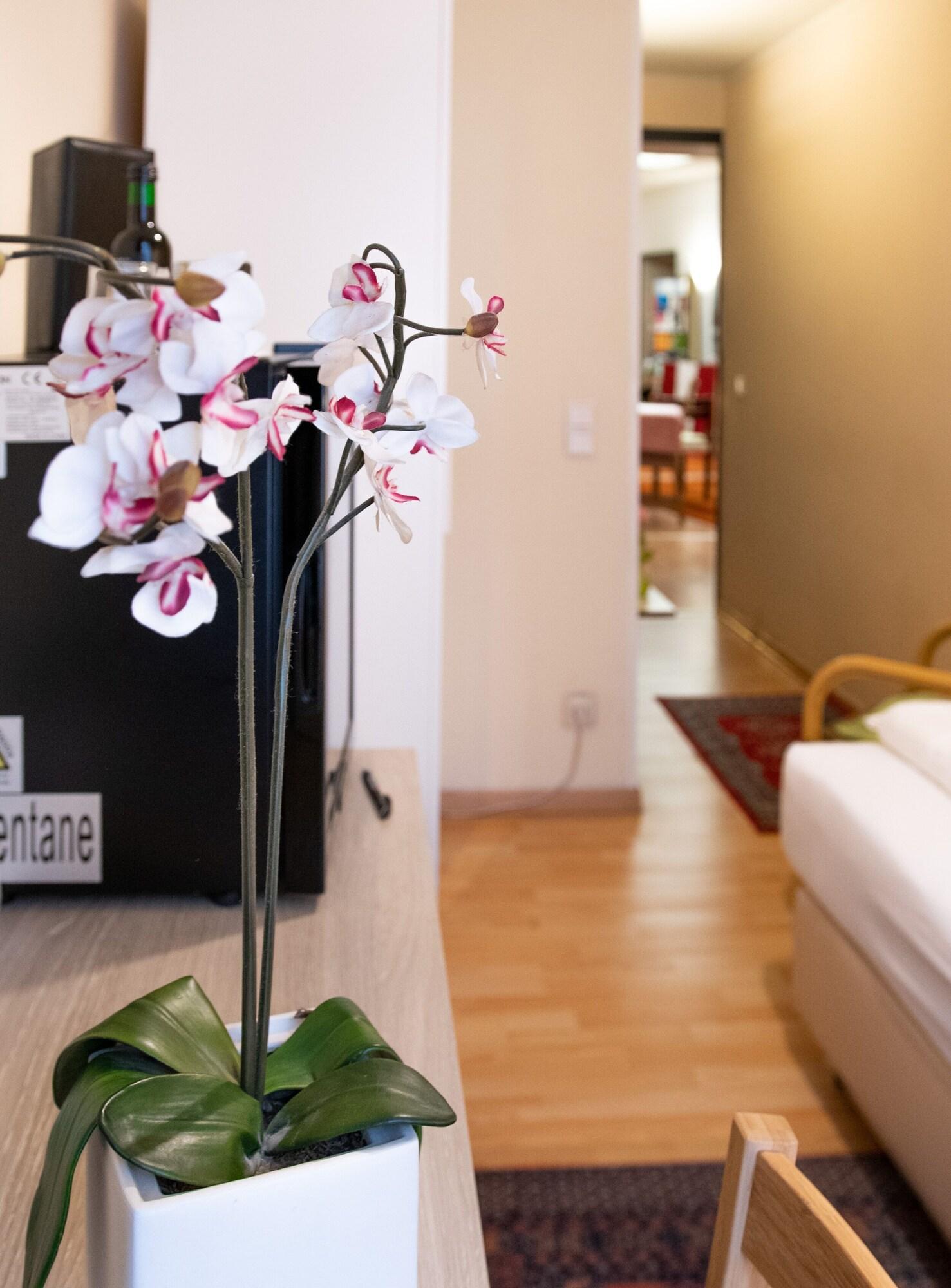 Pension Hotel Mariahilf Bécs Kültér fotó